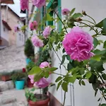 Apartment Gate *