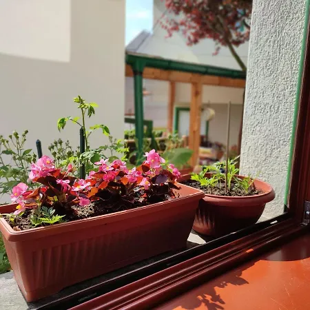 Apartment Gate